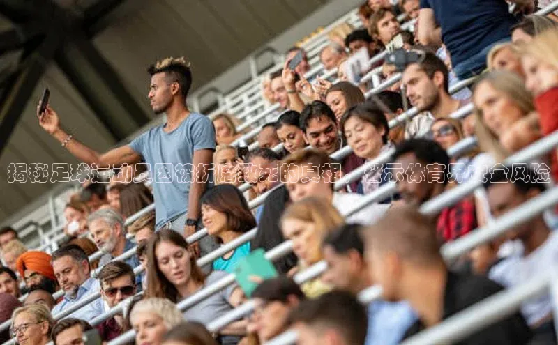 熊猫体育app官网知乎