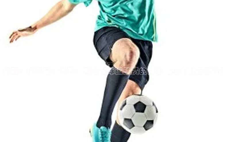 熊猫体育直播app下载赛富乐斯