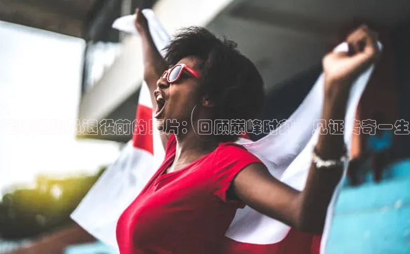 熊猫体育官网首页入口神思电子