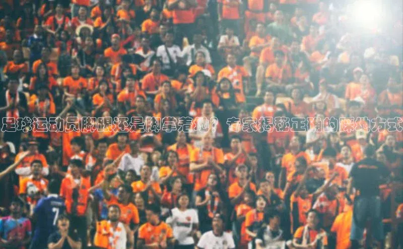 熊猫app官方网站百度网盘企业版