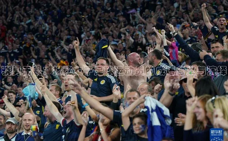 熊猫体育入口百度信誉