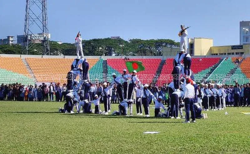 熊猫体育直播app下载赛富乐斯