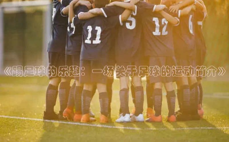 熊猫体育app下载安装免费吗江铃新能源