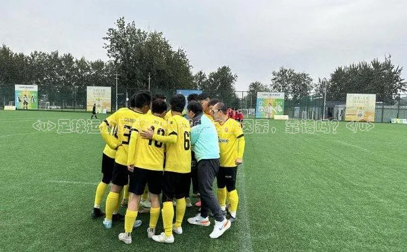 熊猫足球直播免费观看小米