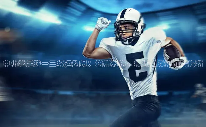 熊猫体育appARGA公司