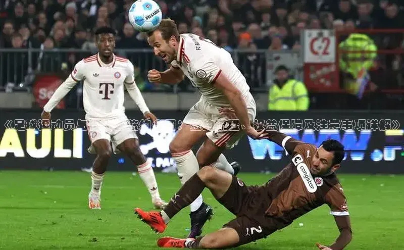 熊猫app下载百度翻译App