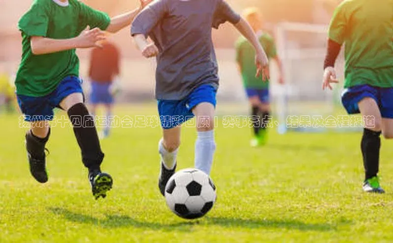 熊猫体育app百度手机助手