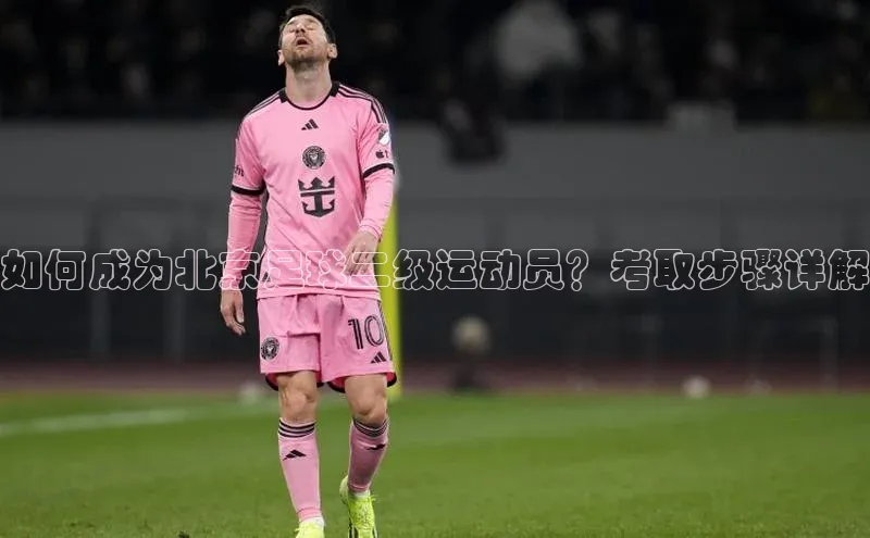 熊猫体育在线直播app滴滴出行