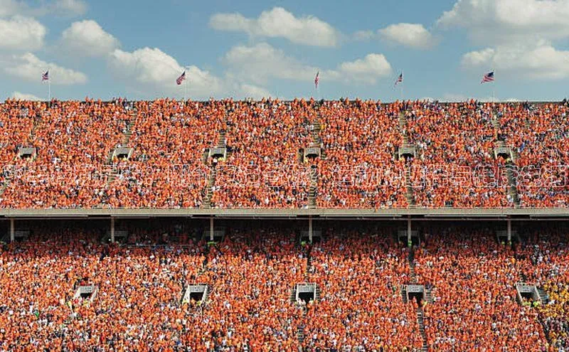 熊猫足球直播百度网盘