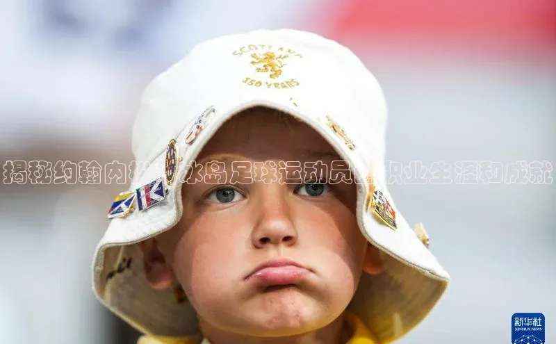 熊猫体育足球直播app阿里尔公司