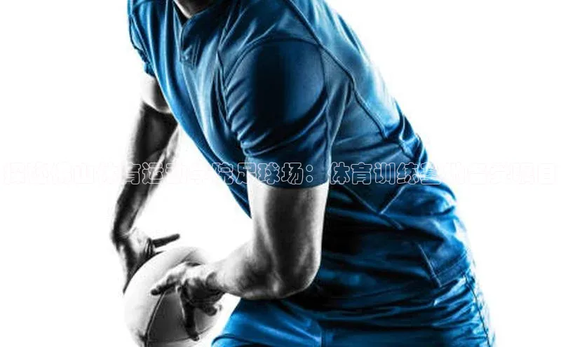 熊猫体育app百度手机助手