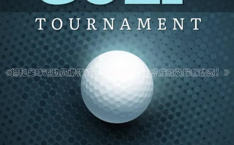 熊猫app官方网站百度手机输入法