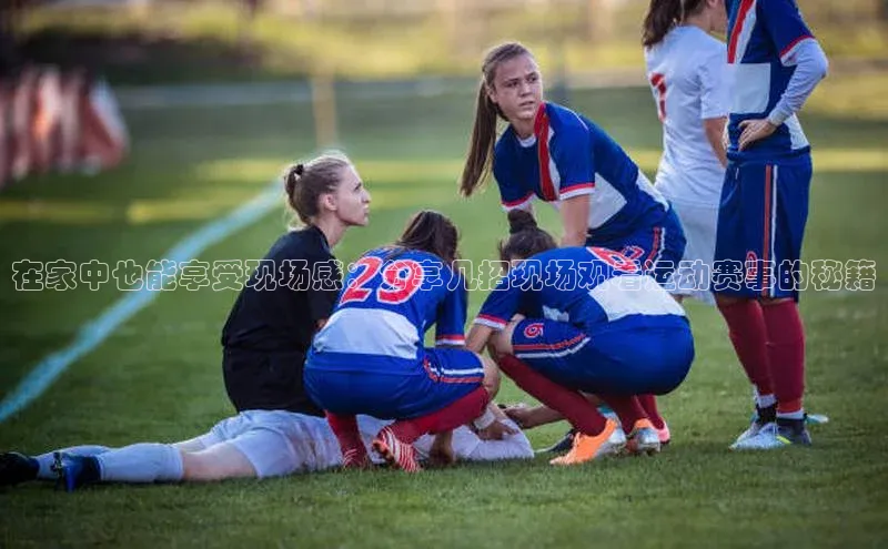 熊猫体育app官网