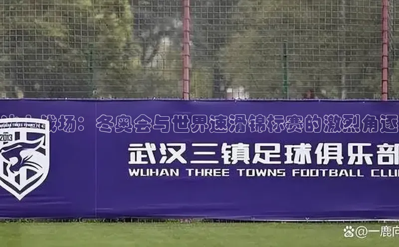 熊猫体育网页版