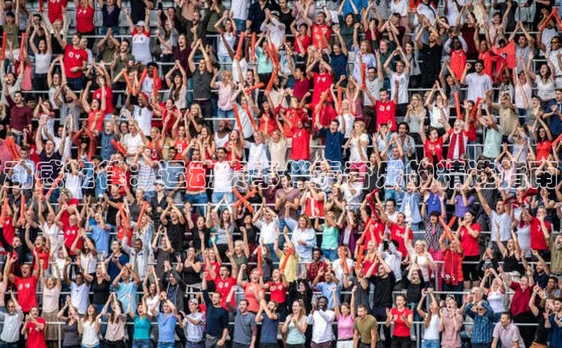 熊猫体育直播免费足球