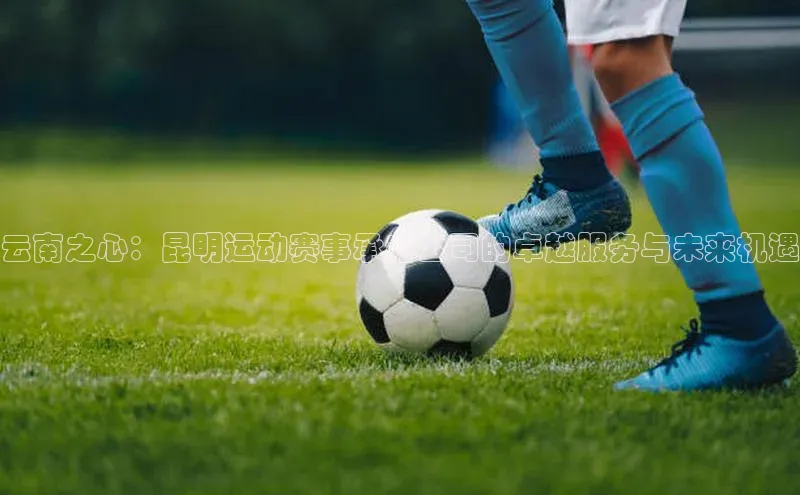 熊猫体育app安装入口