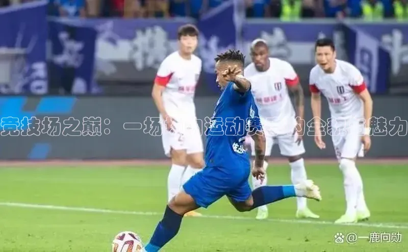 熊猫体育app下载安装