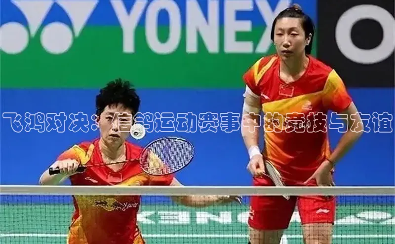 熊猫体育足球直播app