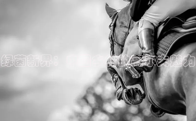 熊猫体育直播免费观看