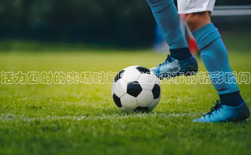 熊猫体育官网首页入口