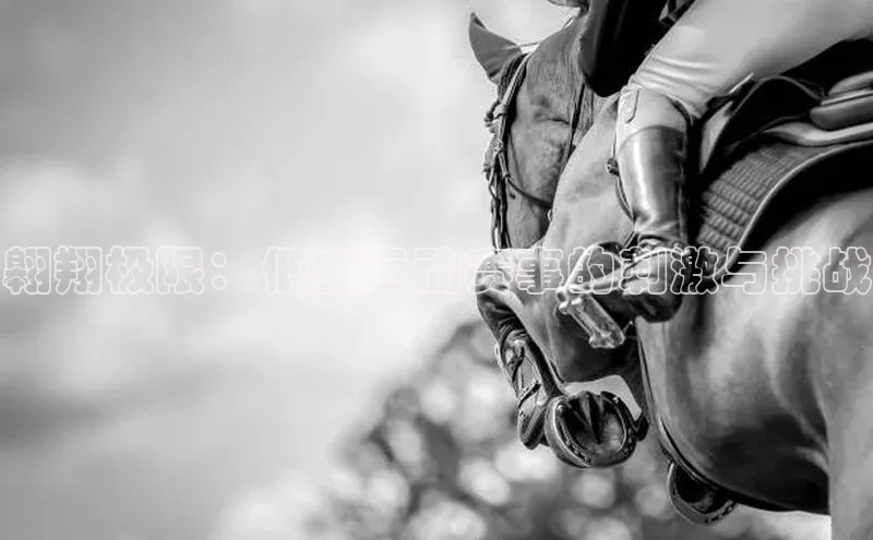 熊猫体育直播app下载