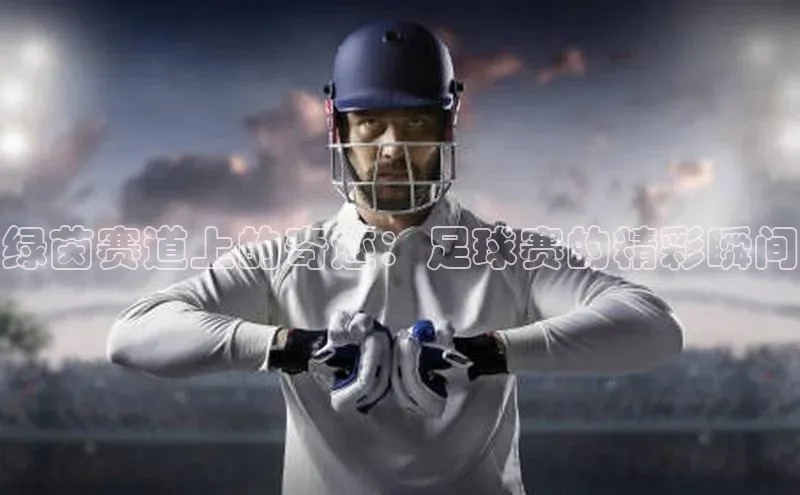 熊猫体育app官方入口