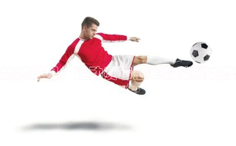 熊猫体育平台官网