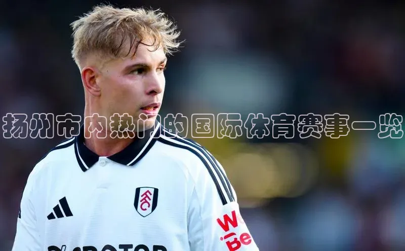 熊猫体育网页版