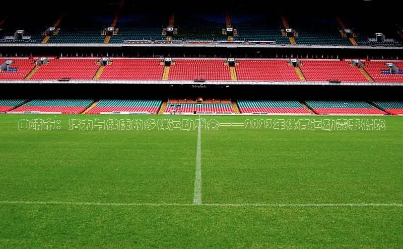 熊猫体育在线直播app