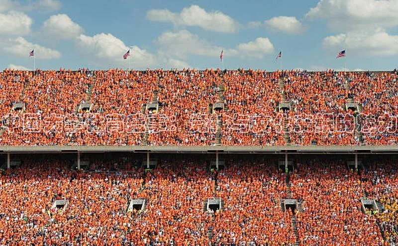 熊猫体育官方网站