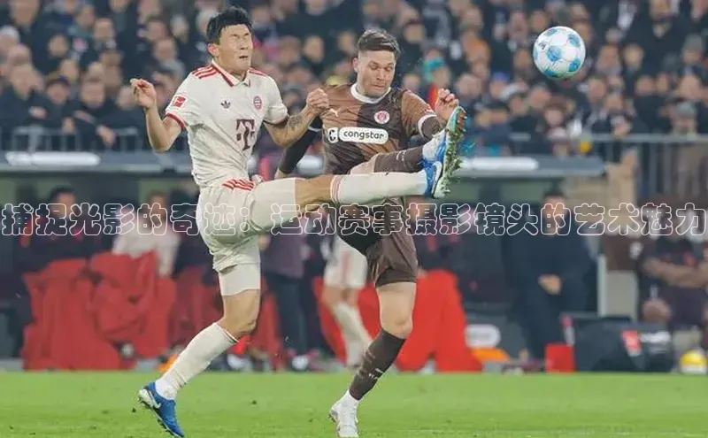 熊猫体育入口